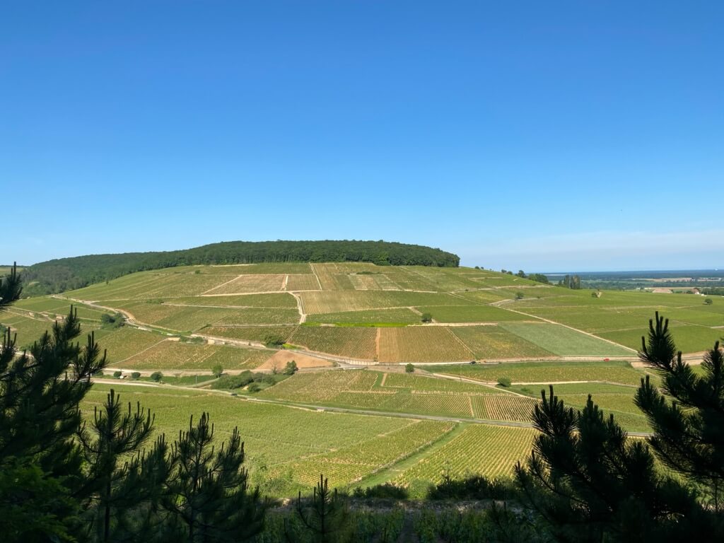 Domaine Maldant – Pauvelot (Bourgogne – Marc de Bourgogne) & Domaine du Tau (Lirac)