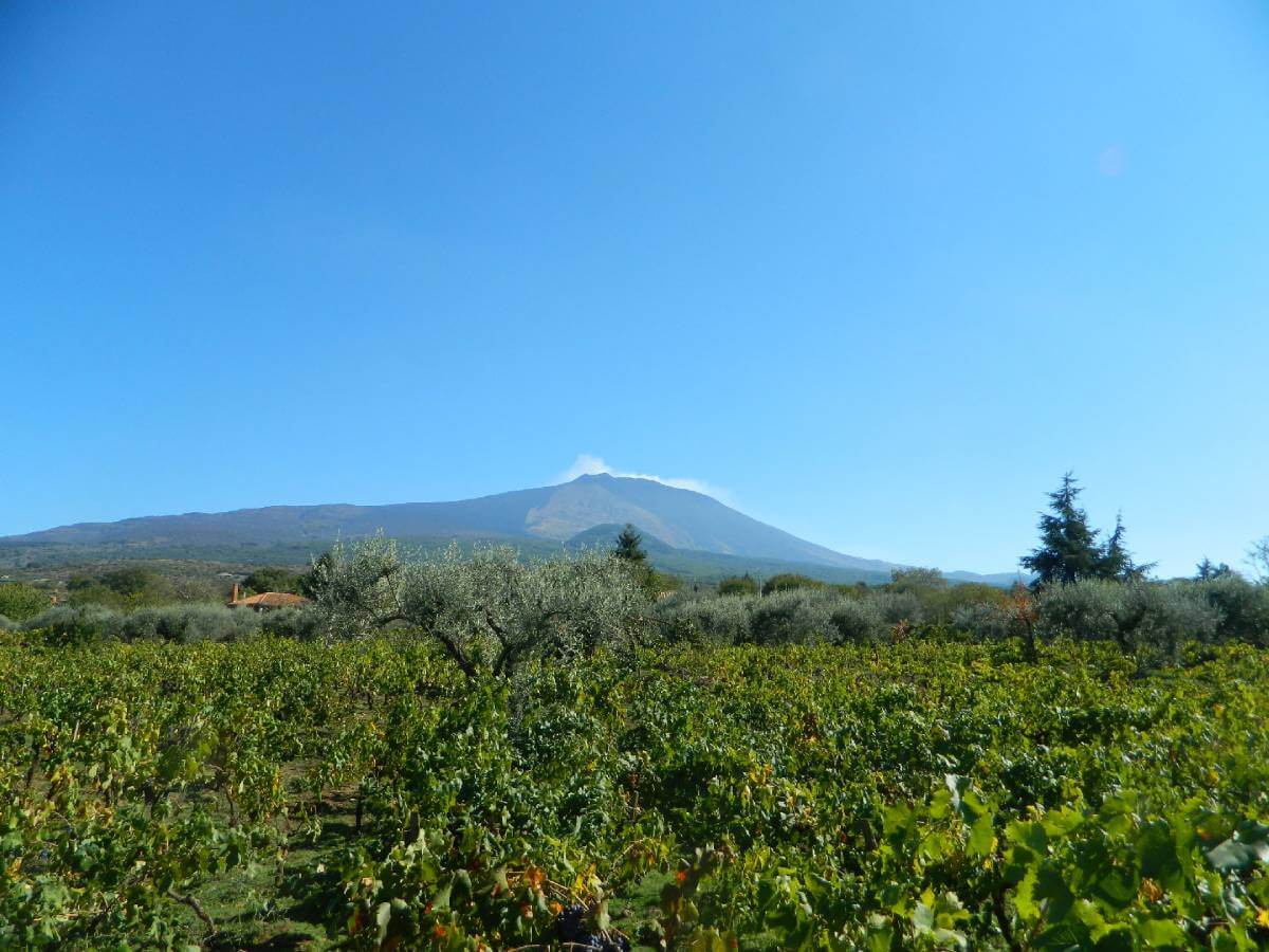 Fédérico Curtaz – Sicile (Etna)