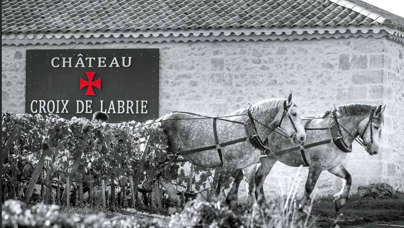 Château Croix de Labrie – St-Emilion Grand Cru & St-Emilion Grand Cru Classé / Camille VDF