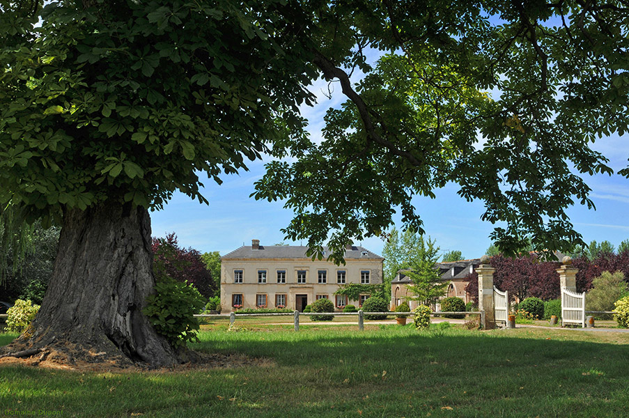 Domaine Dupont