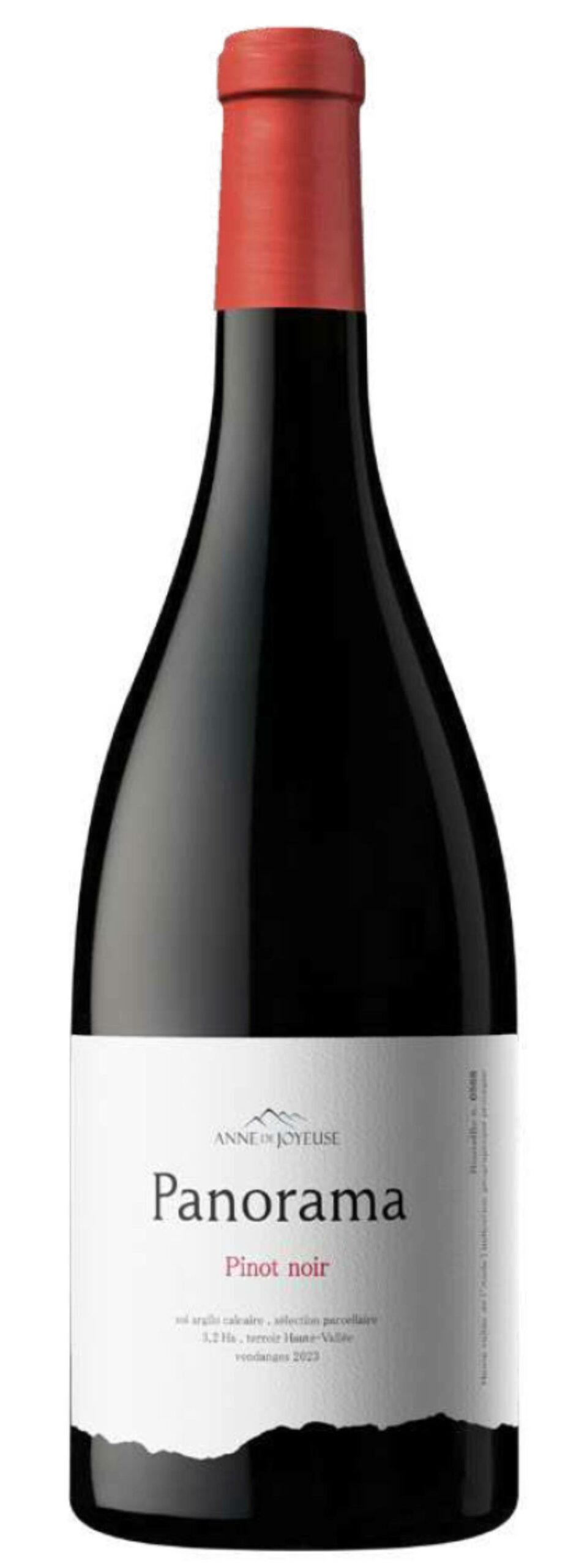 Panorama Pinot Noir – IGP Haute Vallée de l’Aude